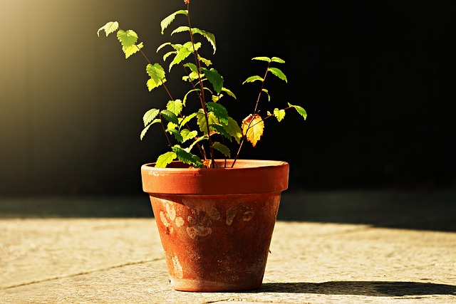 Make the Most of Your Patio or Balcony With These Decorating Tips Details
