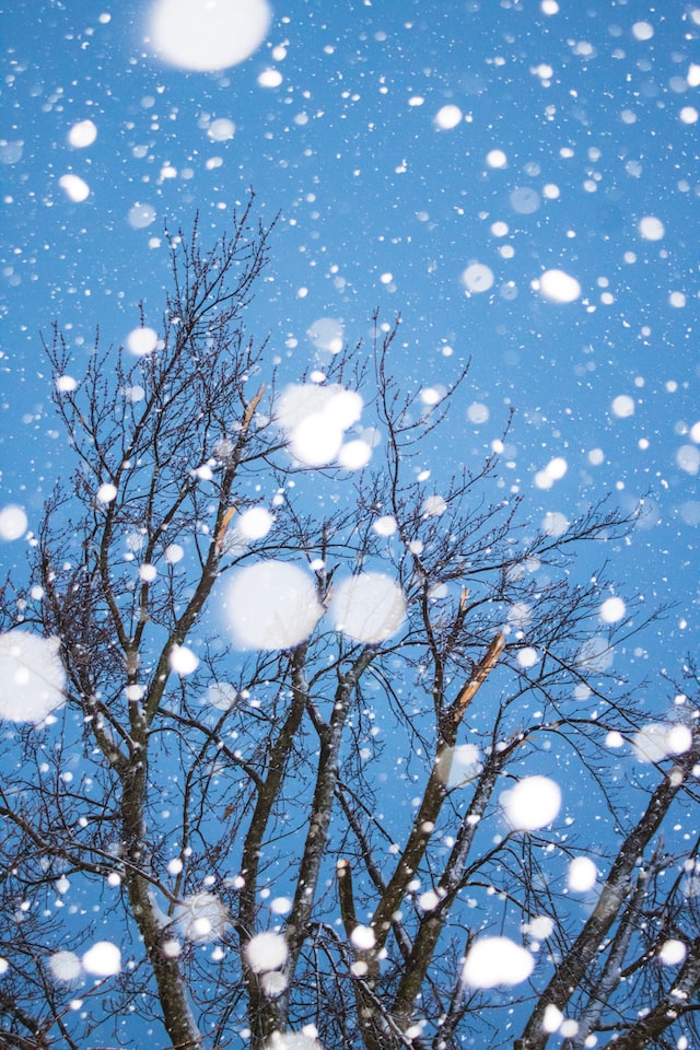 Winter Holidays Details