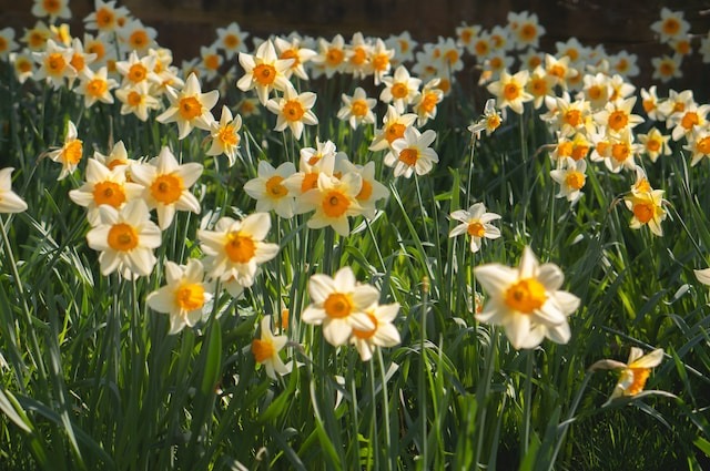 National Holidays and Celebrations in April Details